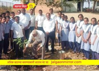 अमळनेरातील पाटील माध्यमिक विद्यालयात वृक्षारोपण !