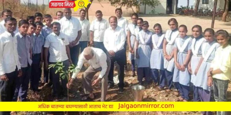 अमळनेरातील पाटील माध्यमिक विद्यालयात वृक्षारोपण !