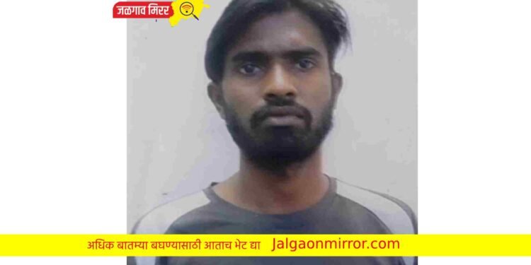 मुंबई फिरण्याचे स्वप्न राहिले अपूर्ण पाचोऱ्याजवळ रेल्वेतून पडून युवक ठार