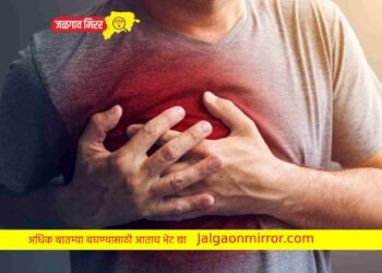 तुम्ही हिवाळ्यात पहाटे फिरायला जात असाल तर सावधान ! वाचा सविस्तर