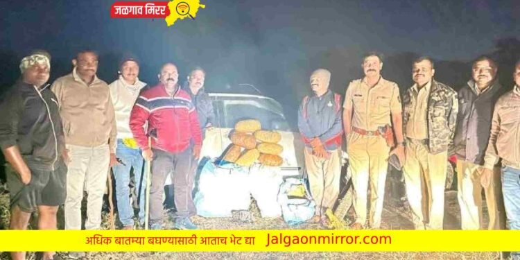 मोठी बातमी : अमळनेर पोलिसांनी केला ५३ किलो गांजा जप्त !