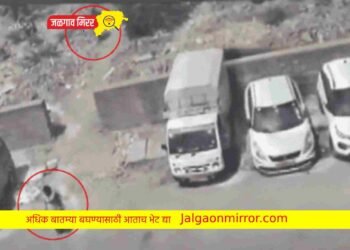 पतीचे २२ तुकडे करून ठेवले फ्रीजमध्ये ; मायलेकाला अटक