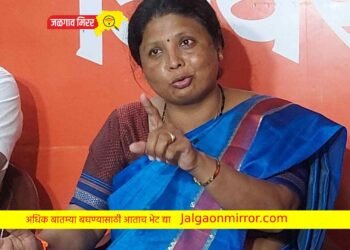 शिंदे सरकार चार महिन्यात कोसळणार : अंधारे