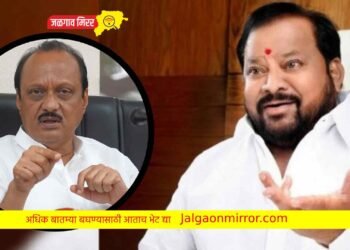 शिंदे सरकार पडणार नाहीच; आ.पाटलांनी सांगितला १९५५ चा अनुभव