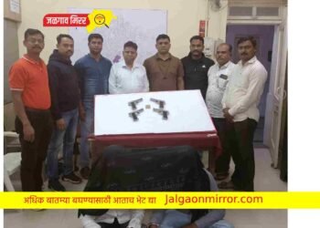 गावठी पिस्तुल बाळगणारे दोन जण ताब्यात; स्थानिक गुन्हे शाखेची कारवाई