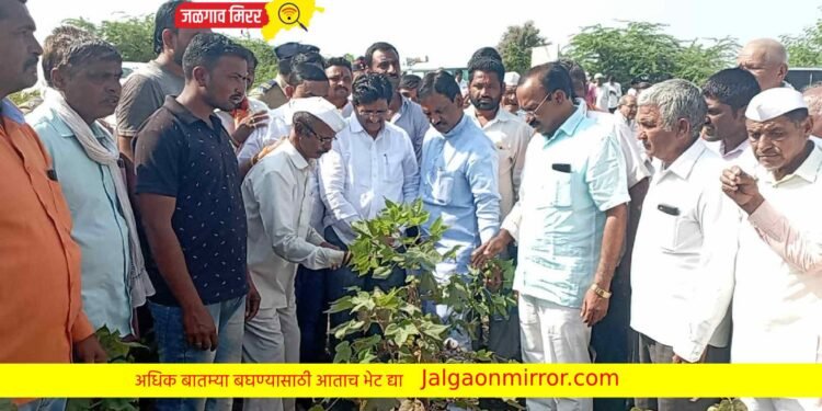 शेतकऱ्यांचे अश्रू पुसण्यासाठी आलोय ; विरोधी पक्षनेते अंबादास दानवे