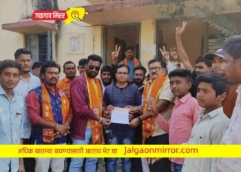 शेतकऱ्यांना शेतीसाठी तात्काळ वीजपुरवठा सुरू करा ; मनसेने केली मागणी