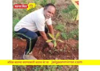 अमळनेरातील सुरेश भावसार ‘वृक्षमित्र’ पुरस्काराने सन्मानित