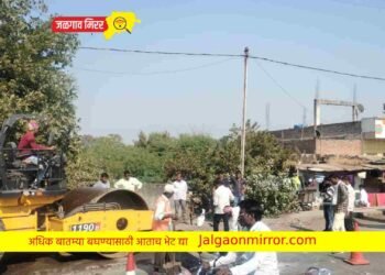 अमळनेरात जनतेच्या मागणीला यश ; गतिरोधक बसविले !