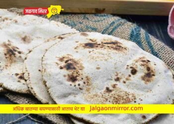 हिवाळ्यात पोळी खाणे कि भाकरी खाणे योग्य? जाणून घ्या सविस्तर !