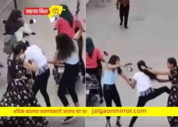 दोन तरुणींनी एका तरुणीला भररस्त्यात धु-धु धुतलं !