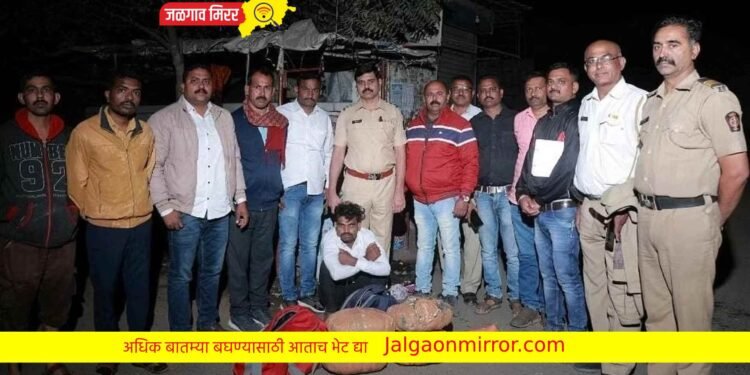 अमळनेर पोलिसांनी पकडला १५ किलो गांजा !