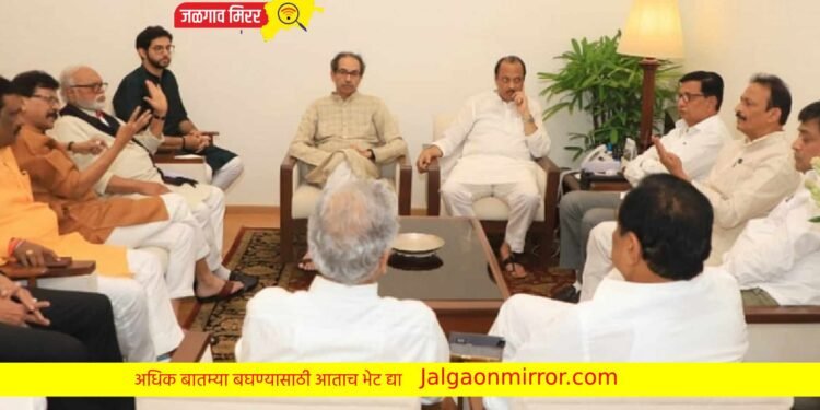 महाविकास आघाडीचा १७ रोजी मुंबईत ‘विराट मोर्चा’ !