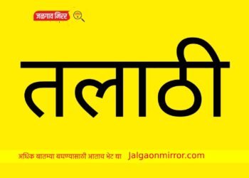 राज्यात ४ हजार तलाठी भरती तर नाशिक विभागात १ हजार ३५ !