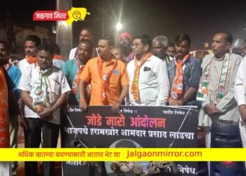 आ.लाड यांच्या प्रतिमेला धरणगावात मारले जोडे !