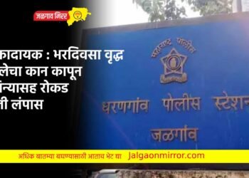 धक्कादायक : भरदिवसा वृद्ध महिलेचा कान कापून दागिन्यासह रोकड केली लंपास