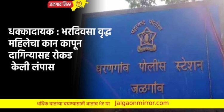 धक्कादायक : भरदिवसा वृद्ध महिलेचा कान कापून दागिन्यासह रोकड केली लंपास