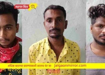दहशत माजविणाऱ्या तिघांना जिल्ह्यातून हद्दपार !