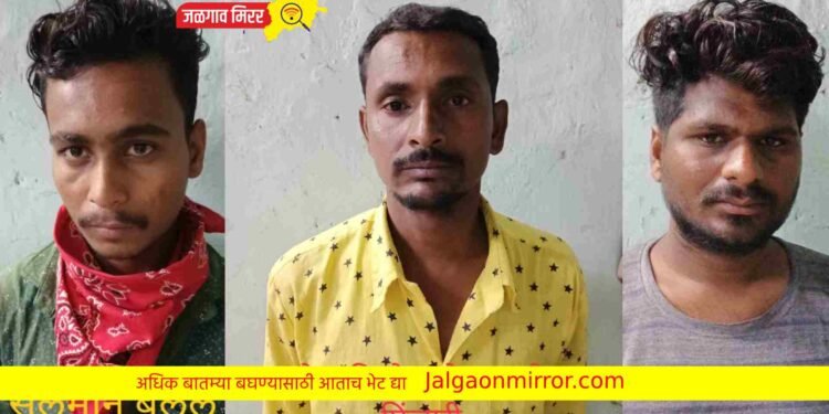 दहशत माजविणाऱ्या तिघांना जिल्ह्यातून हद्दपार !
