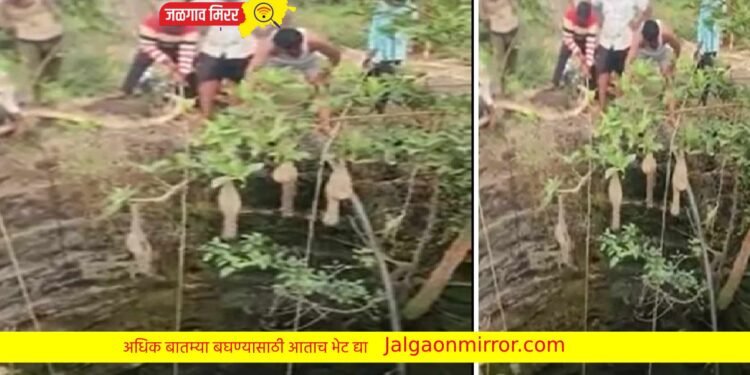 सुखरूप सुटका : आजोबांना वाचविण्यासाठी ८ वर्षीय नातवाने घेतली विहिरी उडी…