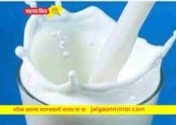 दुधाचे अतिसेवन झाल्यास होवू शकतात हा आजार !