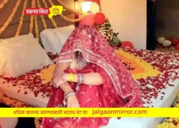 दोघांचे लग्न झाले हनिमूनला गेली नवरी अन नवरदेव राहिला घरी !