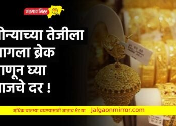 सोन्याच्या तेजीला लागला ब्रेक ; जाणून घ्या आजचे दर !