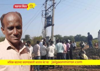 बिडगावात डीपी सुरू करतांना झिरो वायरमनचा मृत्यू !