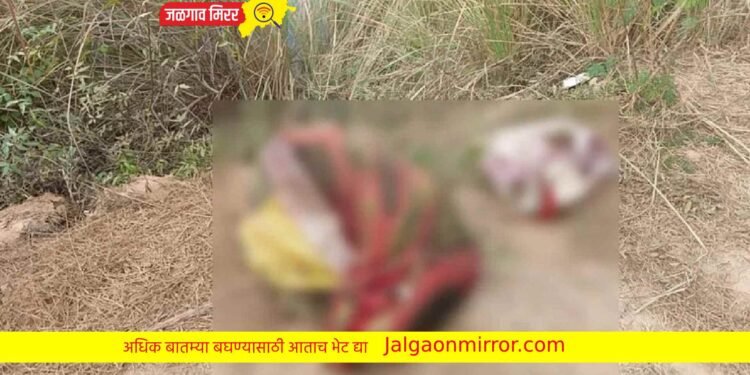 देश हादरला : ६० वर्षीय साधूची हत्या ; पोत्यांत आढळले मृतदेहाचे तुकडे !