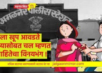 तू मला खूप आवडते माझ्यासोबत चल म्हणत विवाहितेचा विनयभंग !