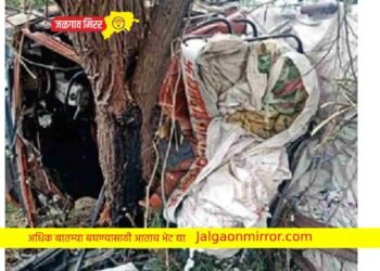 ममुराबाद-विदगाव रस्त्यावर भीषण अपघात ; एक ठार, सात गंभीर