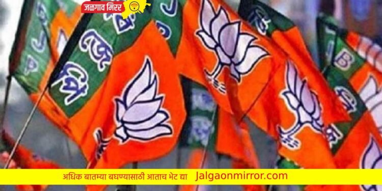 जामनेरात मिरवणुकीला गालबोट; कार्यकर्त्याचा मृत्यू !