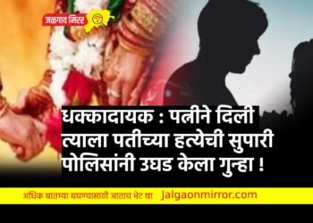 धक्कादायक : पत्नीने दिली त्याला पतीच्या हत्येची सुपारी पोलिसांनी उघडकीस आणले प्रकरण !