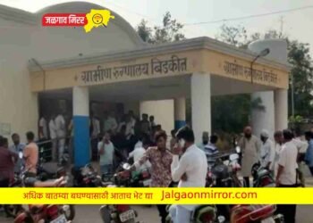 संतापजनक : वयोवृद्ध बापाच्या छातीवर बसत लेकाने केले बापाला ठार !