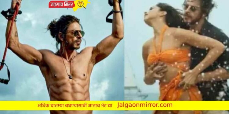 बिकनीचा भगवा नव्हे तर चिश्ती रंग ; मुस्लीम संघटना एकवटल्या