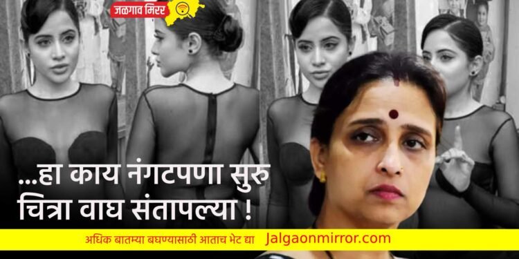 …हा काय नंगटपणा सुरु ; चित्रा वाघ संतापल्या !