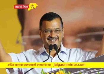 दिल्लीच्या मनपाची चावी आपकडे तर भाजपचे पसमांदा कार्ड फेल !