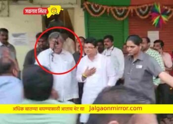 संघर्ष वाढला  : भाजप मंत्री पाटलांवर शाईफेक !