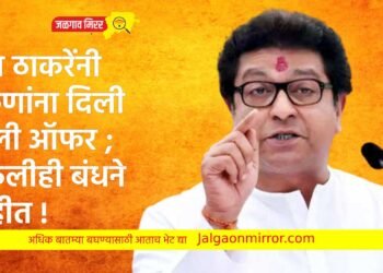 राज ठाकरेंनी तरुणांना दिली खुली ऑफर ; कुठलीही बंधने नाहीत !