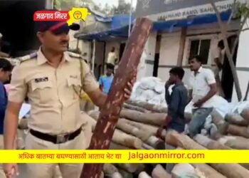 राज्यात दिसली ‘पुष्पा’ झलक ; पोलिसांनी ठोकल्या बेड्या !