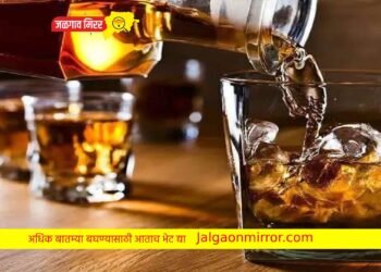 मद्यप्रेमींसाठी मोठी बातमी : राज्यातील दारू दुकाने पहाटे पाचपर्यंत राहणार सुरु !