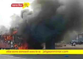 बसचे ब्रेक फेल झाल्याने ६ जणांचा मृत्यू ; दुचाकीस्वारांना दिली धडक !