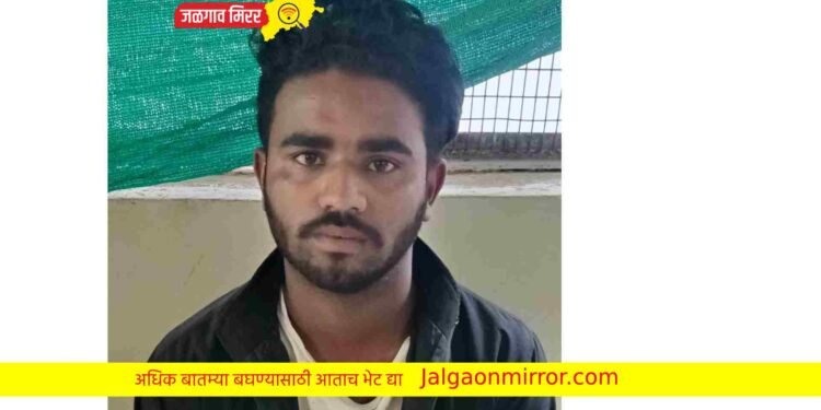 चोरी प्रकरणी एक गुन्हेगार ताब्यात ; स्थानिक पोलिसांनी केली कारवाई !