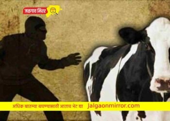 जुन्या कानळदा रोड परिसरातून चोरी; गुन्हा दाखल !