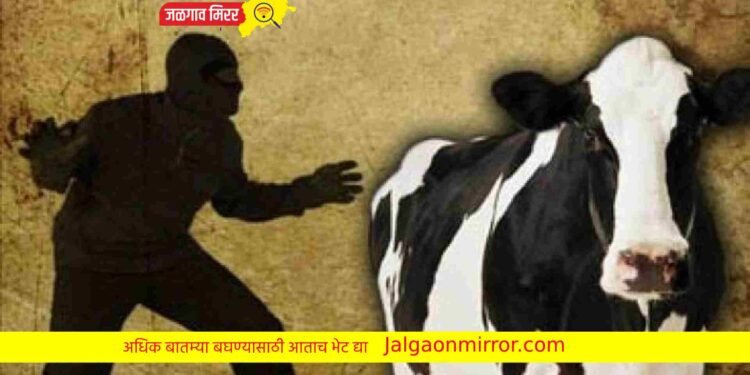 जुन्या कानळदा रोड परिसरातून चोरी; गुन्हा दाखल !