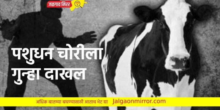 अमळनेरातून ७० हजाराचे पशुधन चोरीला ; गुन्हा दाखल