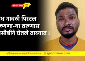 अवैध गावठी पिस्टल बाळगणा-या तरुणास एलसीबीने घेतले ताब्यात !