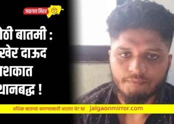 मोठी बातमी : अखेर दाऊद नाशकात स्थानबद्ध !