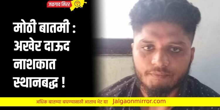 मोठी बातमी : अखेर दाऊद नाशकात स्थानबद्ध !