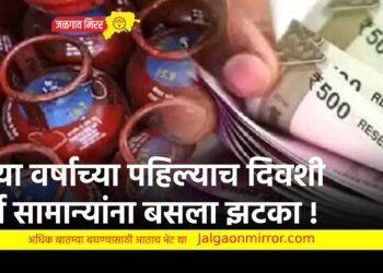 नव्या वर्षाच्या पहिल्याच दिवशी सर्व सामान्यांना बसला झटका !